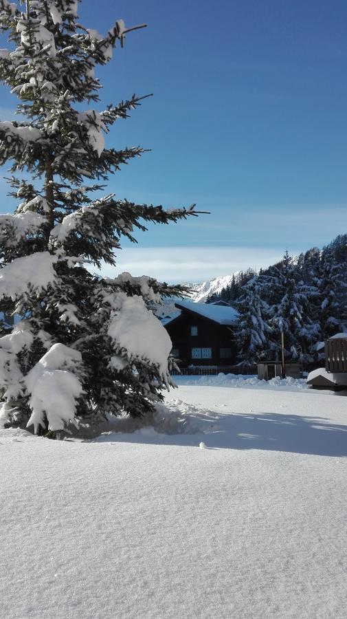 Residence Les Coupoles Champoluc Eksteriør billede